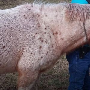 Meet your Posher, Quincy